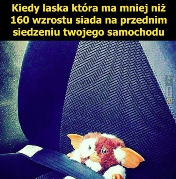 Śmieszny mem: 5368027 - MemLand