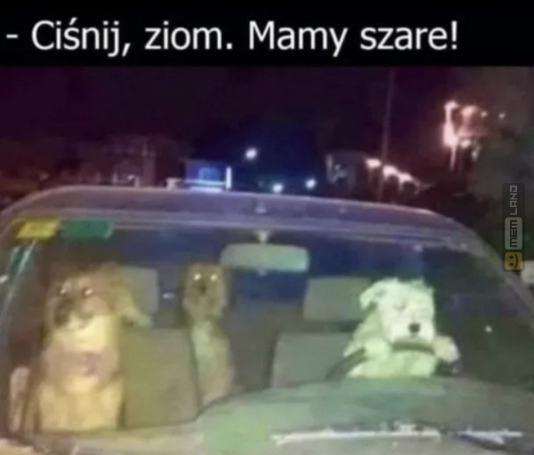 Śmieszny mem: 5370348 - MemLand