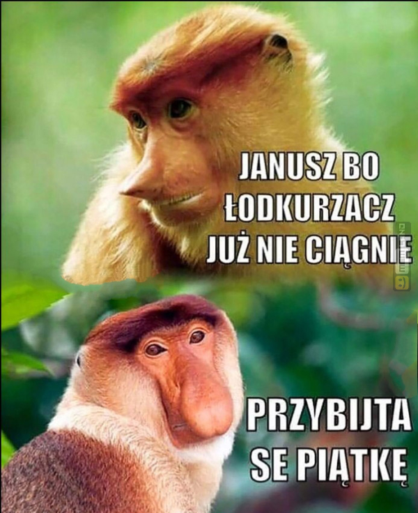 Śmieszny mem: 5376731 - MemLand