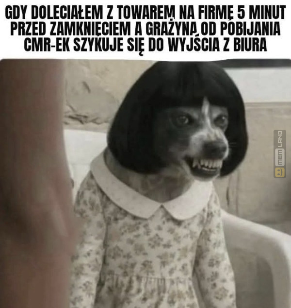 Śmieszny mem: 5382957 - MemLand