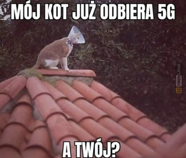 Śmieszny mem: 5387369 - MemLand