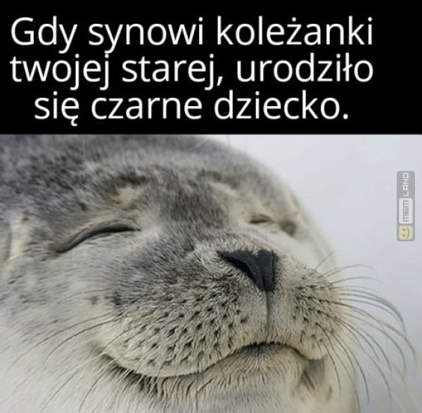 Śmieszny mem: 5398918 - MemLand