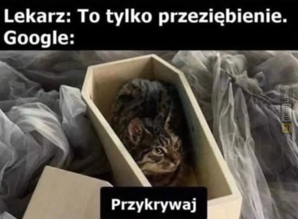 Śmieszny mem: 5399290 - MemLand