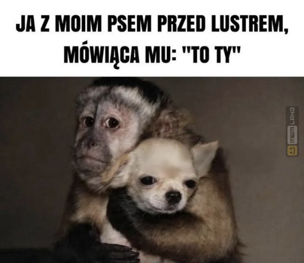 Śmieszny mem: 5407058 - MemLand