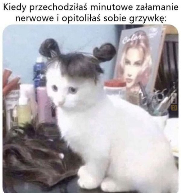 Śmieszny mem: 5409066 - MemLand