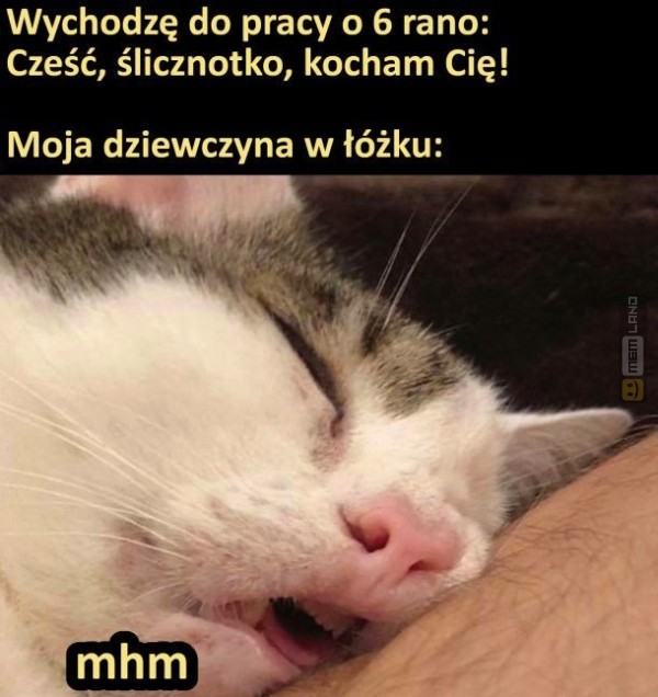 Śmieszny mem: 5409951 - MemLand