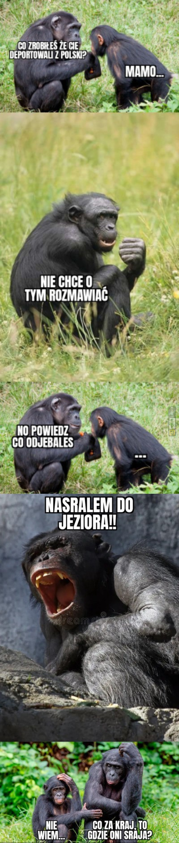 Śmieszny mem: 5418703 - MemLand