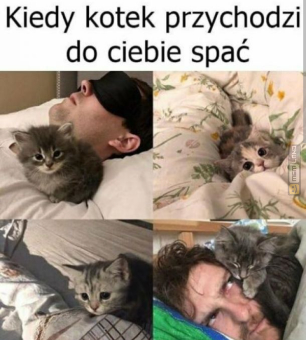 Śmieszny mem: 5420884 - MemLand