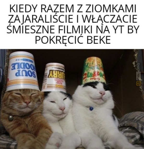 Śmieszny mem: 5422197 - MemLand