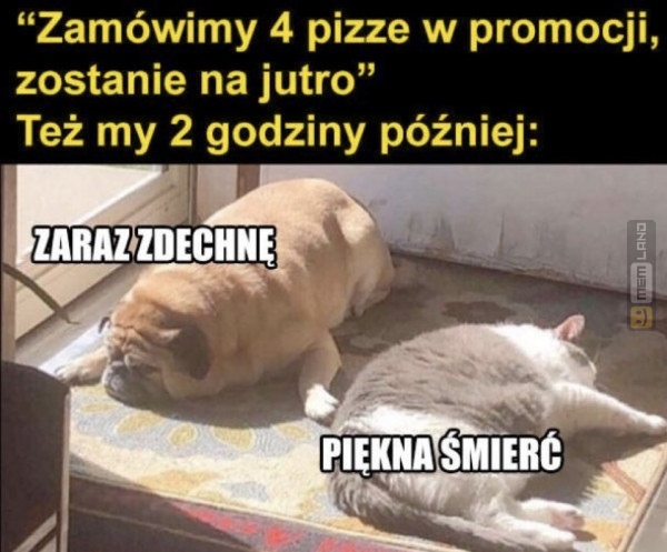 Śmieszny mem: 5423963 - MemLand