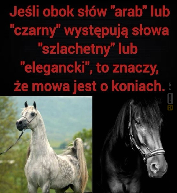 Śmieszny mem: 5425145 - MemLand