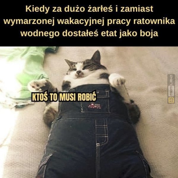 Śmieszny mem: 5429829 - MemLand