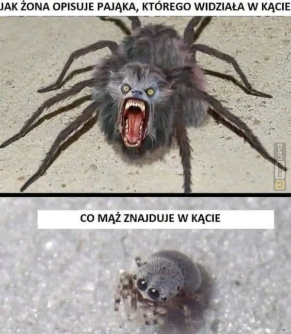 Śmieszny mem: 5435515 - MemLand