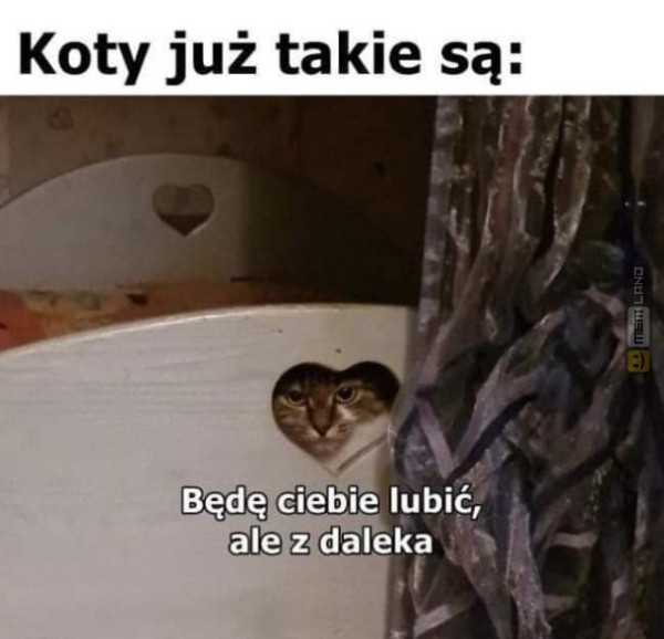 Śmieszny mem: 5436371 - MemLand