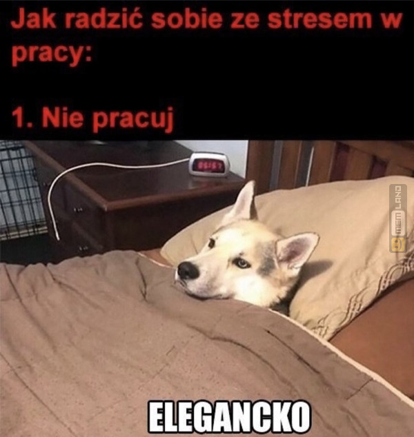 Śmieszny mem: 5439377 - MemLand