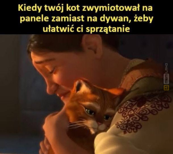 Śmieszny mem: 5441300 - MemLand