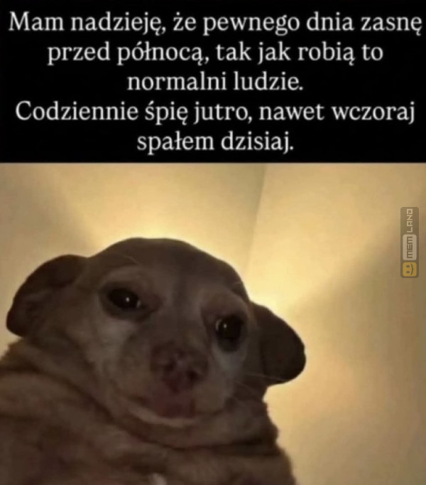 Śmieszny mem: 5442472 - MemLand