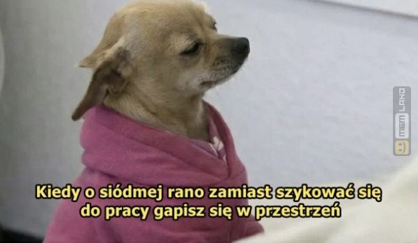 Śmieszny mem: 5450259 - MemLand