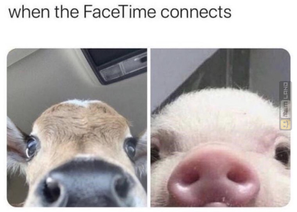 Śmieszny mem: 5450745 - MemLand