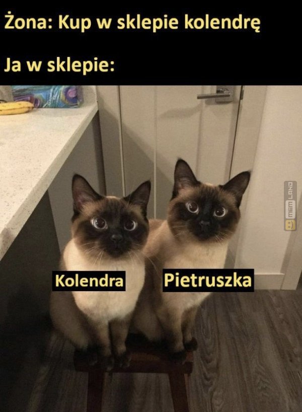 Śmieszny mem: 5462917 - MemLand