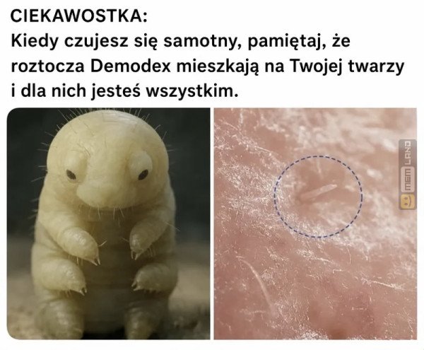 Śmieszny mem: 5470001 - MemLand