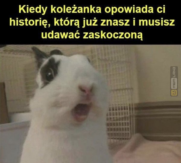 Śmieszny mem: 5470821 - MemLand