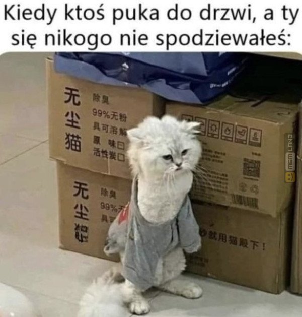 Śmieszny mem: 5471061 - MemLand