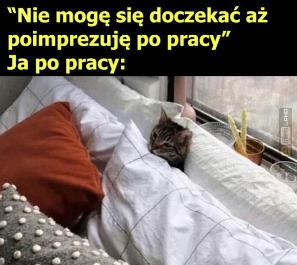 Śmieszny mem: 5472981 - MemLand