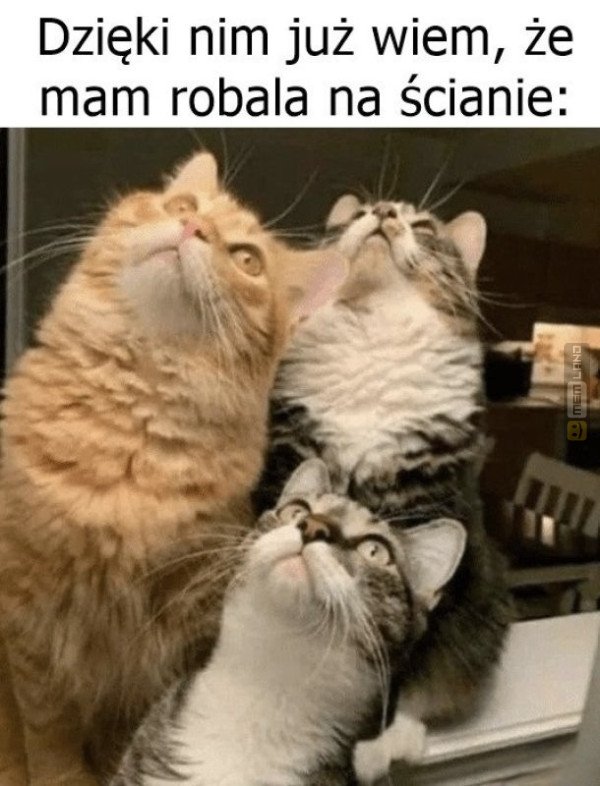 Śmieszny mem: 5474936 - MemLand