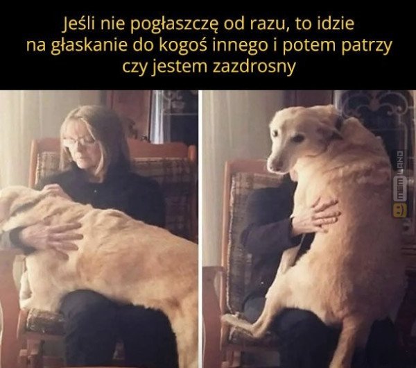 Śmieszny mem: 5480969 - MemLand