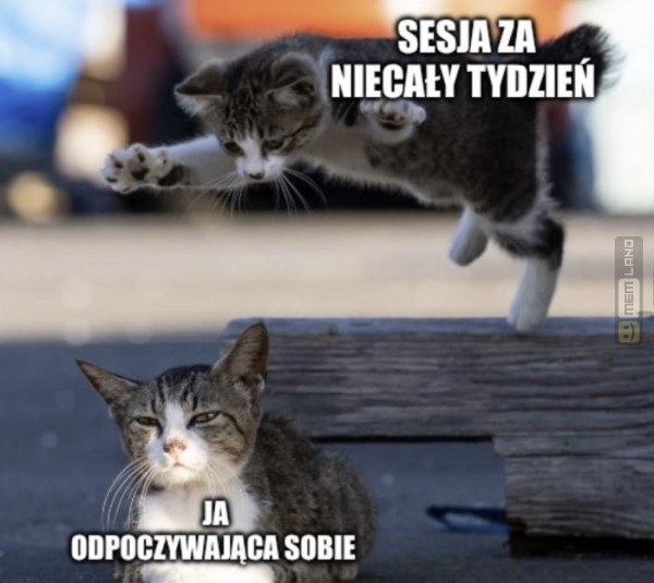 Śmieszny mem: 5488774 - MemLand