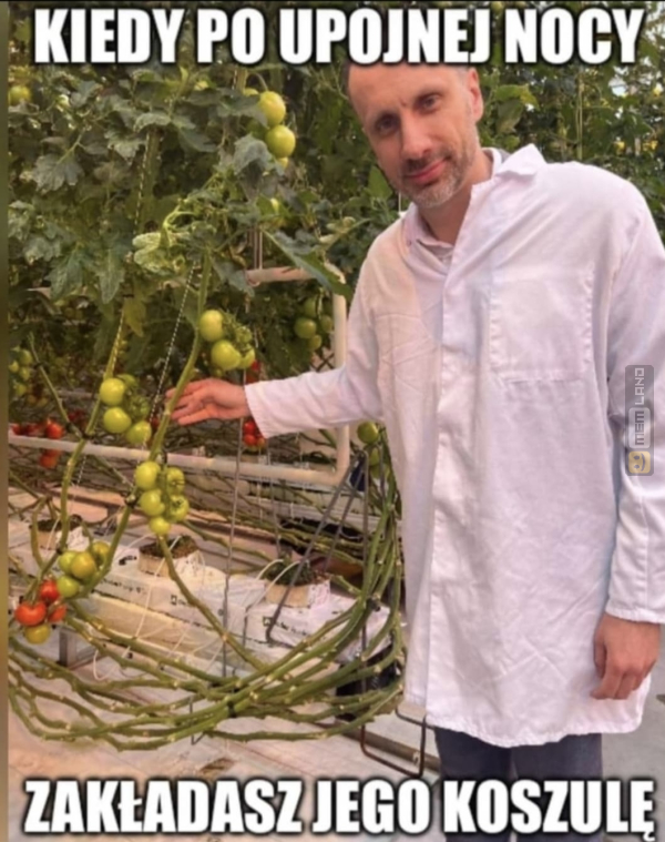 Śmieszny mem: 5494676 - MemLand