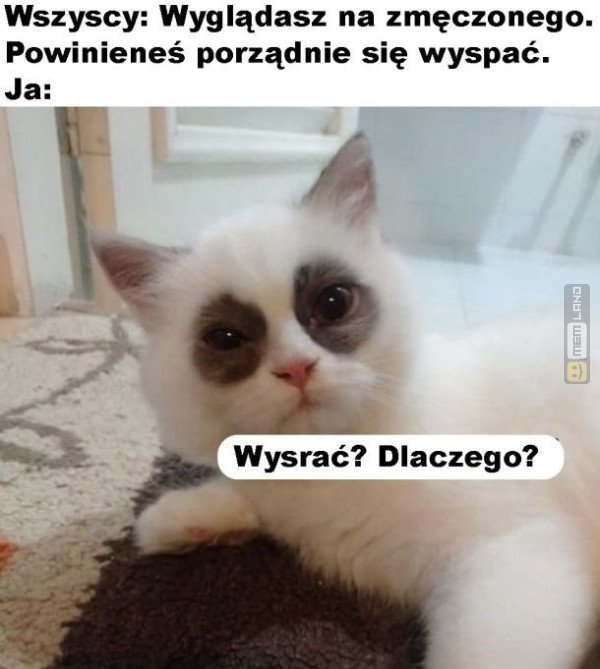Śmieszny mem: 5525442 - MemLand