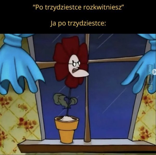 Śmieszny mem: 5531123 - MemLand