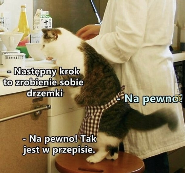 Śmieszny mem: 5536715 - MemLand