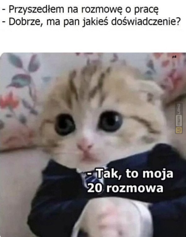 Śmieszny mem: 5539519 - MemLand