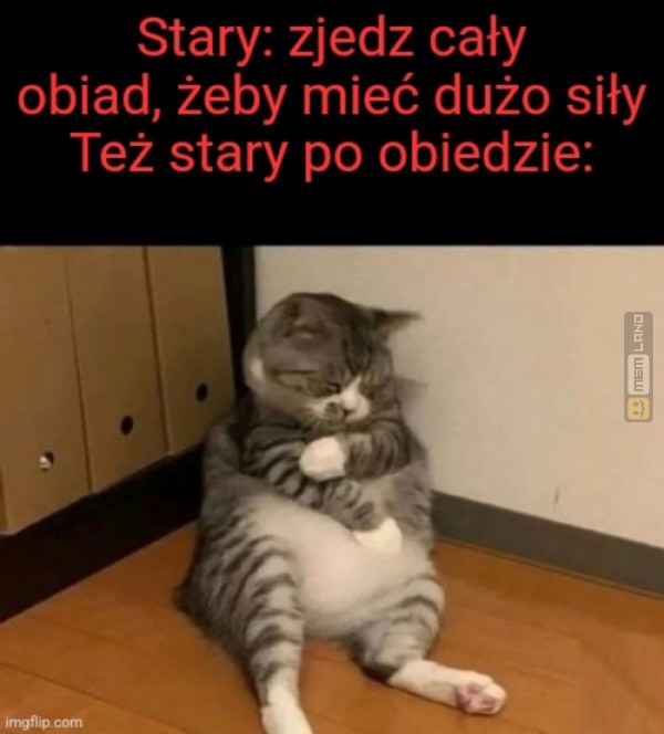 Śmieszny mem: 5541732 - MemLand