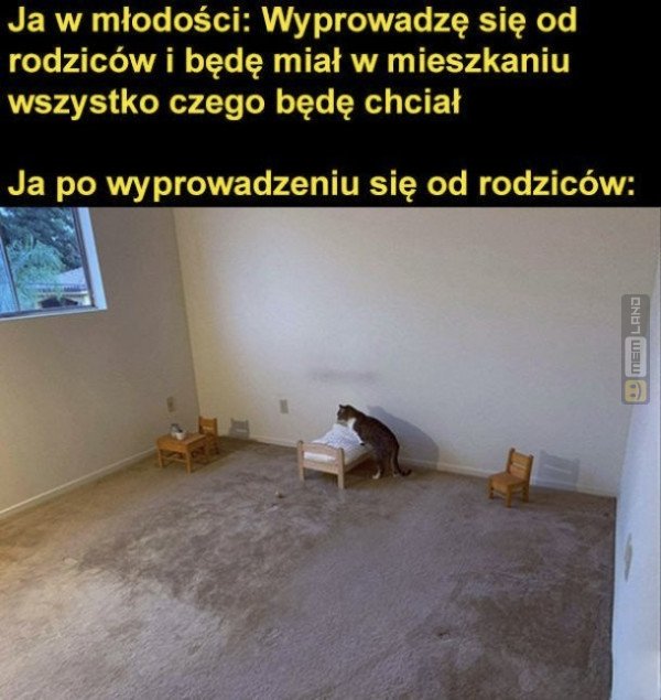 Śmieszny mem: 5547947 - MemLand