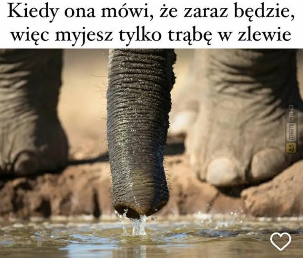 Śmieszny mem: 5548490 - MemLand