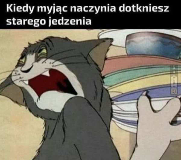 Śmieszny mem: 5554000 - MemLand