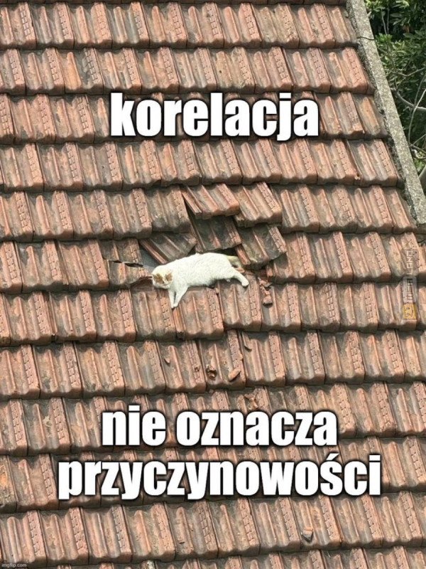 Śmieszny mem: 5556225 - MemLand
