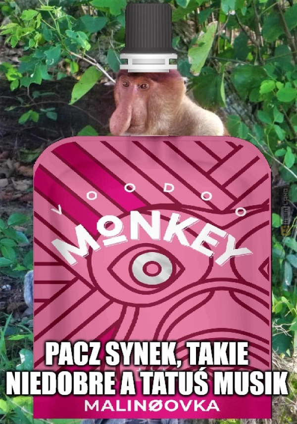 Śmieszny mem: 5560261 - MemLand