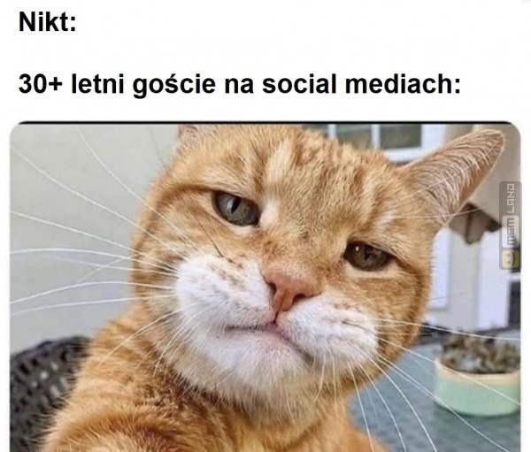 Śmieszny mem: 5563098 - MemLand