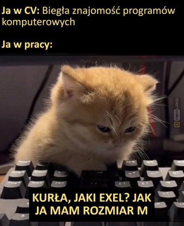 Śmieszny mem: 5565369 - MemLand
