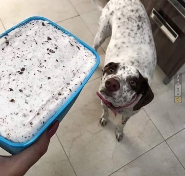 Śmieszny mem: 5566073 - MemLand