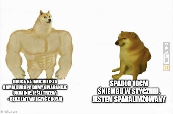 Śmieszny mem: 5569259 - MemLand