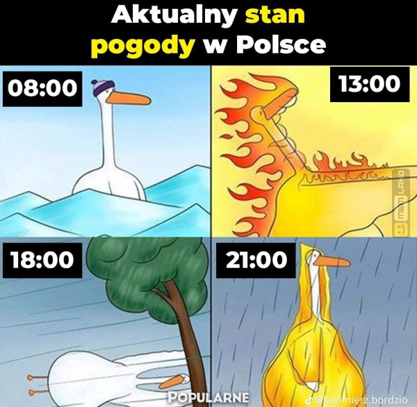 Śmieszny mem: 5570931 - MemLand