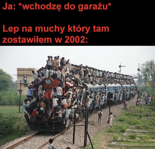 Śmieszny mem: 5572500 - MemLand