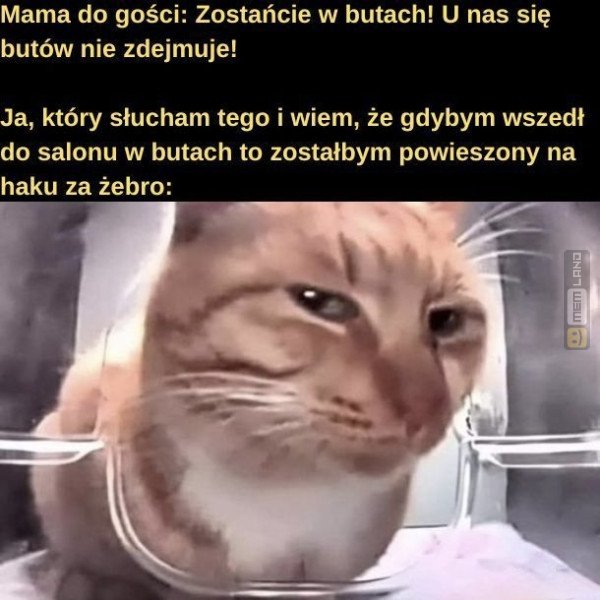 Śmieszny mem: 5577661 - MemLand
