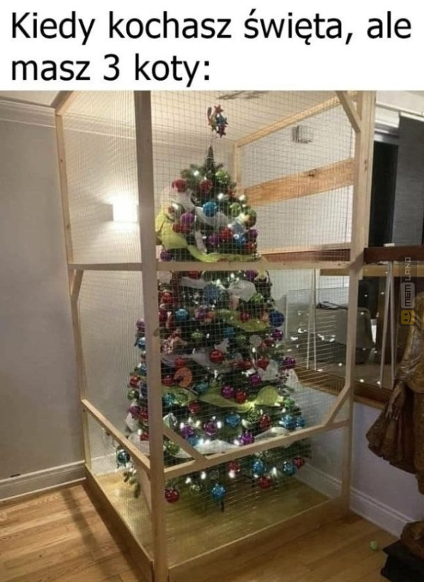 Śmieszny mem: 5578101 - MemLand